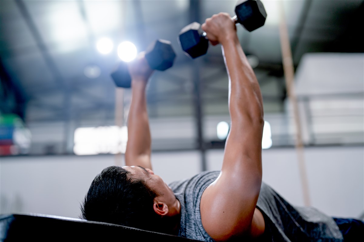 Chaise romaine vs banc de musculation pour l’entraînement à domicile