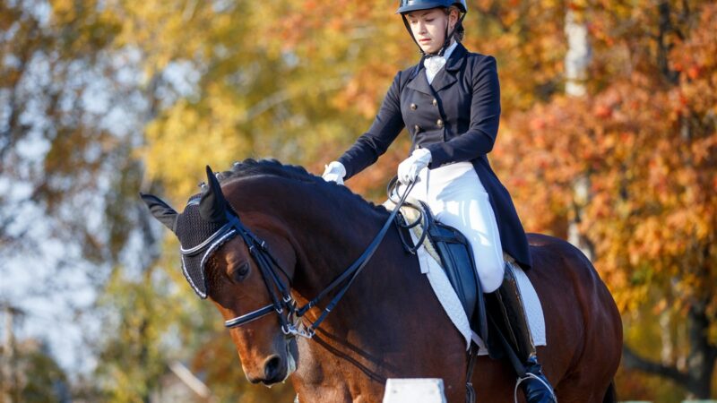 Le gilet airbag d’équitation le plus performant pour les cavaliers pros