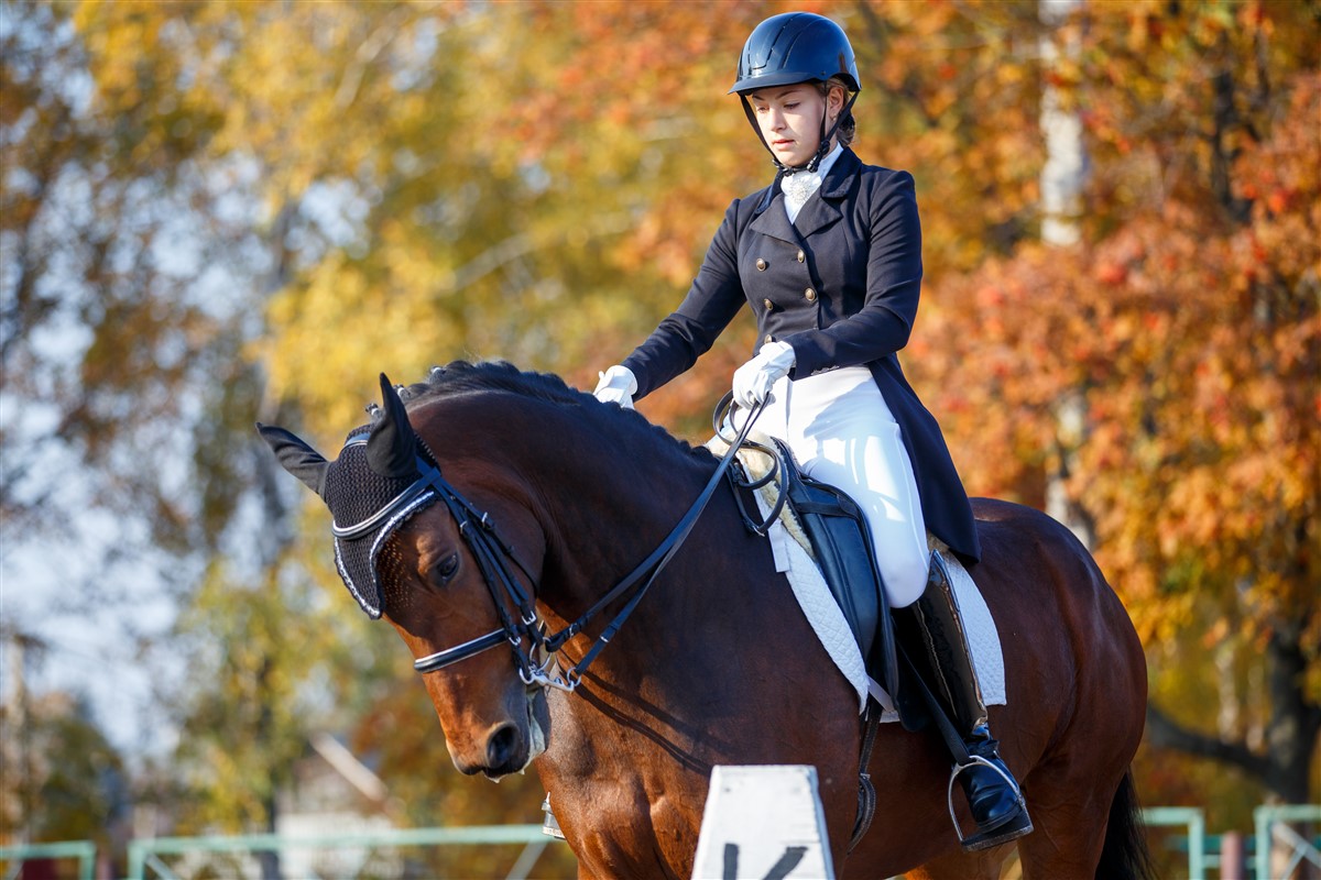 Le gilet airbag d’équitation le plus performant pour les cavaliers pros